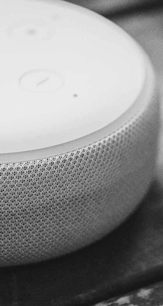 Desarrollo de skills para Amazon Alexa y Google Home - IoT -  Diseñamos y desarrollamos interfaces de voz (VUI) para negocios y marcas, creamos estrategias y experiencias de voz.
